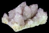Cactus Quartz (Amethyst) Crystal Cluster - South Africa #134339-1